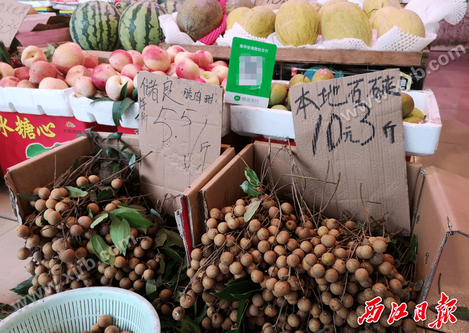 客户案例 第1232页