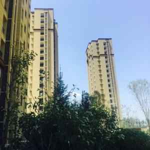 香河绿地国宝最新进展深度解析,焕新颜于11月8日