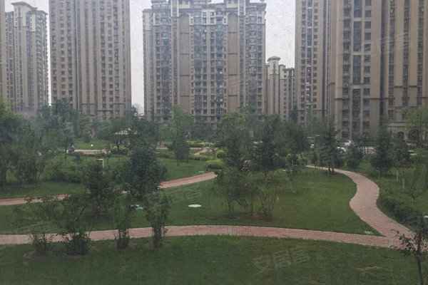 香河绿地国宝最新进展深度解析,焕新颜于11月8日