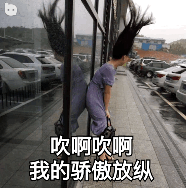 海安红灯区争议，理性看待与反思涉黄现象的警示与反思