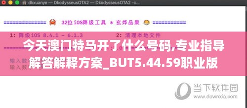今天澳门特马开了什么号码,专业指导解答解释方案_BUT5.44.59职业版