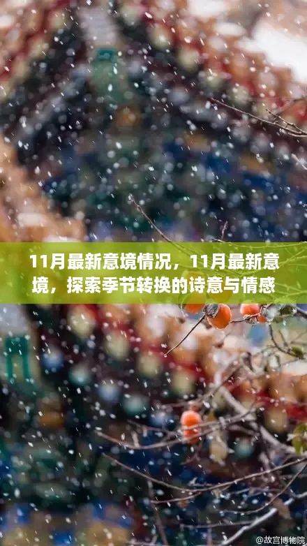 admin 第62页