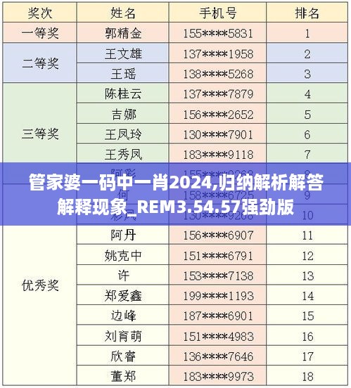 管家婆一码中一肖2024,归纳解析解答解释现象_REM3.54.57强劲版