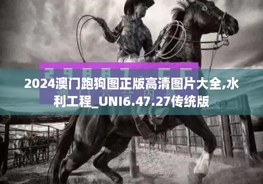 产品展示 第758页