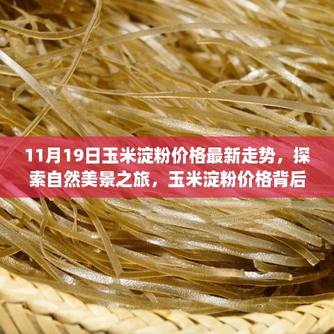 回眸最初 第53页