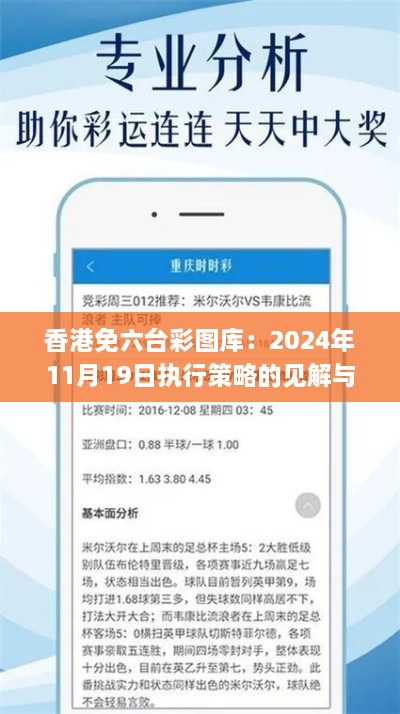 香港免六台彩图库：2024年11月19日执行策略的见解与共鸣_ESV6.36.40
