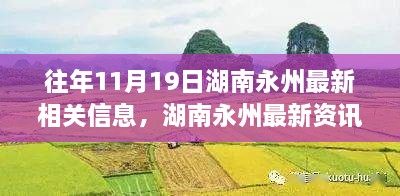湖南永州最新资讯获取攻略，历年与最新信息一网打尽！
