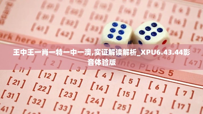 王中王一肖一特一中一澳,实证解读解析_XPU6.43.44影音体验版