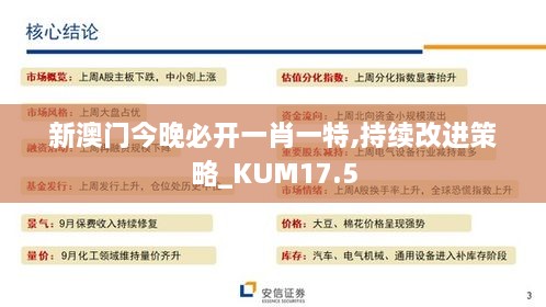 新澳门今晚必开一肖一特,持续改进策略_KUM17.5