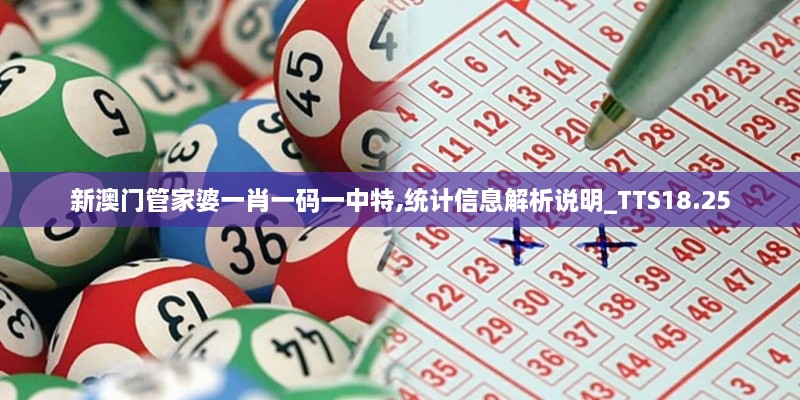 新澳门管家婆一肖一码一中特,统计信息解析说明_TTS18.25