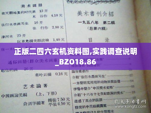 正版二四六玄机资料图,实践调查说明_BZO18.86