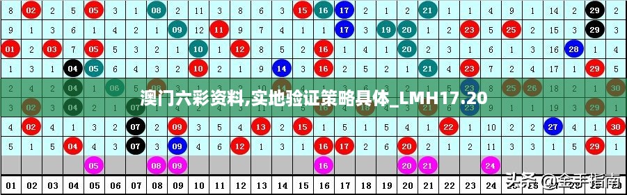 澳门六彩资料,实地验证策略具体_LMH17.20