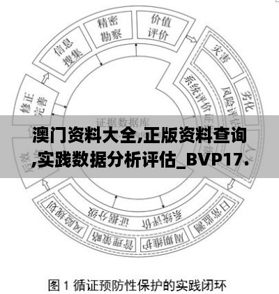 澳门资料大全,正版资料查询,实践数据分析评估_BVP17.85