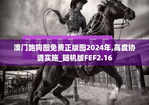 sideiqisuo 第19页
