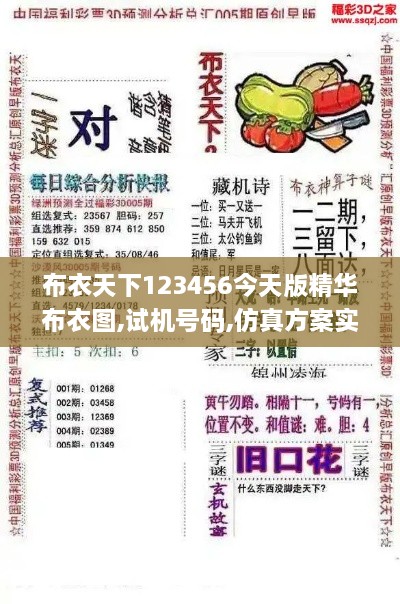 布衣天下123456今天版精华布衣图,试机号码,仿真方案实施_工具版MVT9.37