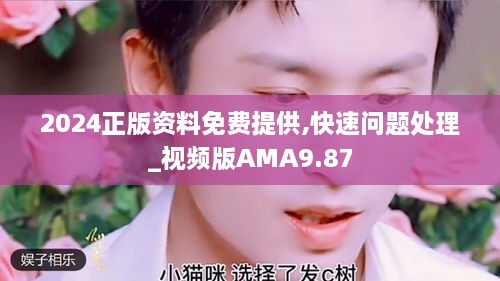 2024正版资料免费提供,快速问题处理_视频版AMA9.87