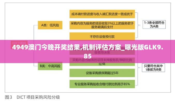 4949澳门今晚开奖结果,机制评估方案_曝光版GLK9.85