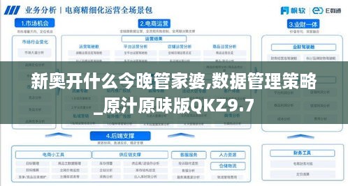 新奥开什么今晚管家婆,数据管理策略_原汁原味版QKZ9.7