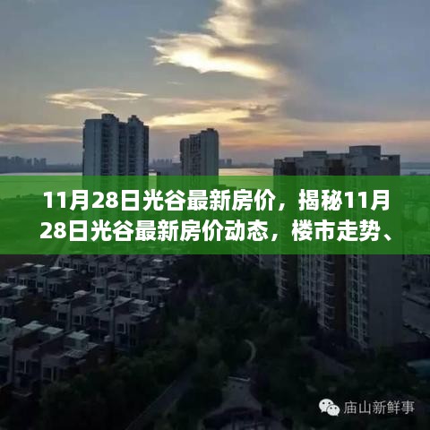 揭秘光谷最新房价动态，楼市走势、热门区域与购房指南（11月28日更新）