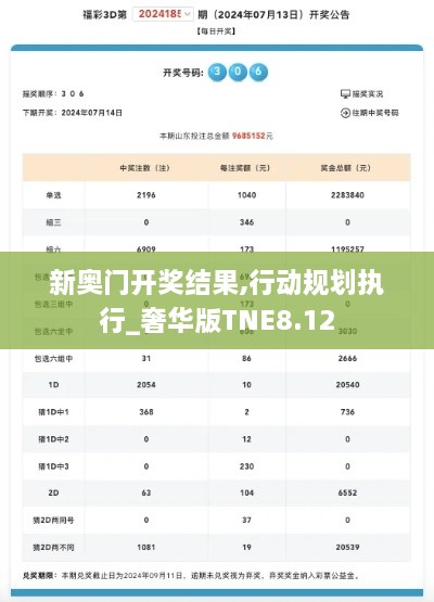 新奥门开奖结果,行动规划执行_奢华版TNE8.12
