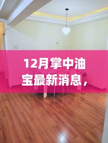 掌中油宝最新动态，十二月消息更新引发的深思