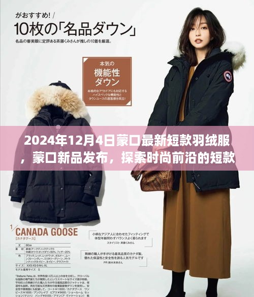 shibigongqing 第15页