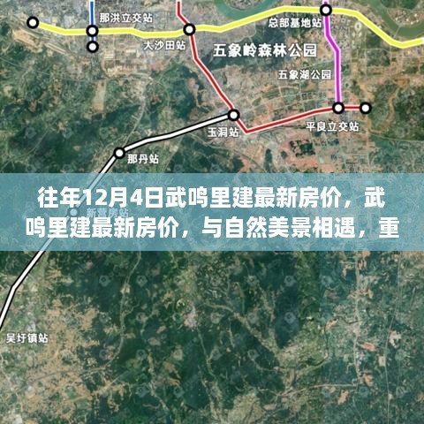 chongshuniaozhuan 第14页