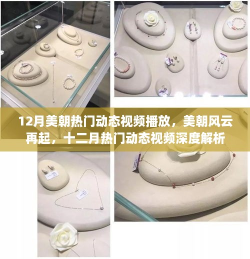 十二月热门动态