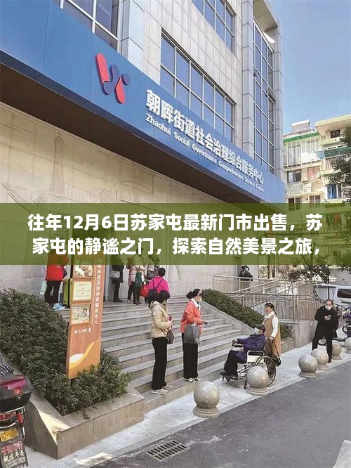 探索自然美景 第2页