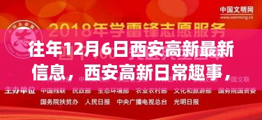 buqieryu 第12页