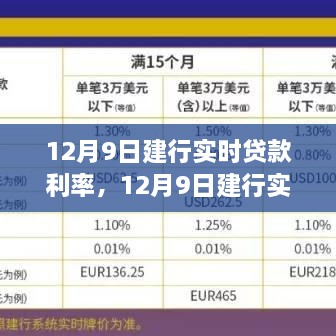 个人立场