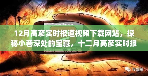 探秘宝藏之地，十二月高彦实时报道视频下载网站独家特色之旅