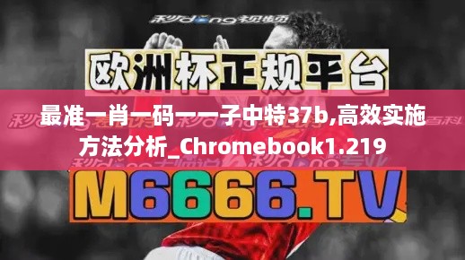 最准一肖一码一一子中特37b,高效实施方法分析_Chromebook1.219