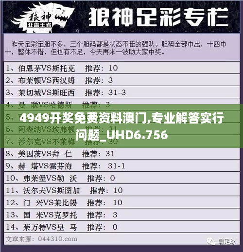 4949开奖免费资料澳门,专业解答实行问题_UHD6.756