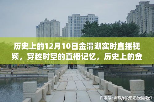 历史上的金渭湖直播记忆，穿越时光回顾十二月十日实时直播视频