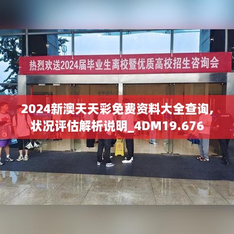 2024新澳天天彩免费资料大全查询,状况评估解析说明_4DM19.676
