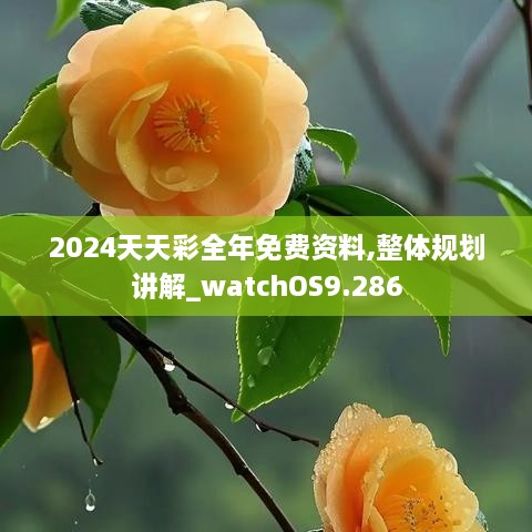 jielianbuduan 第10页