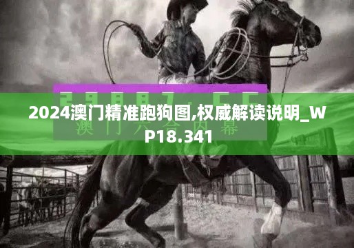 2024澳门精准跑狗图,权威解读说明_WP18.341