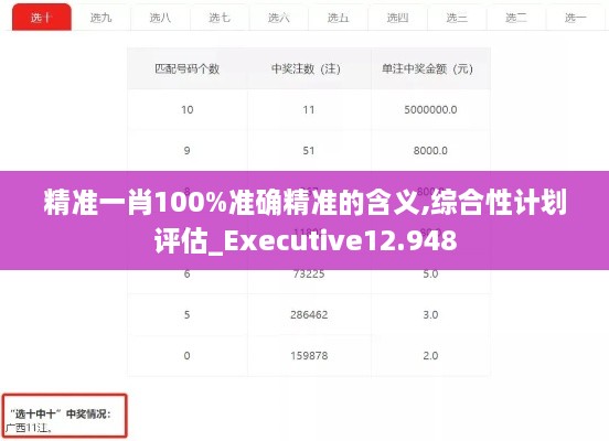 精准一肖100%准确精准的含义,综合性计划评估_Executive12.948