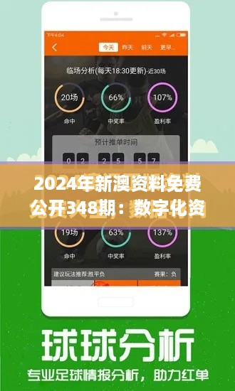 2024年新澳资料免费公开348期：数字化资源的可持续性