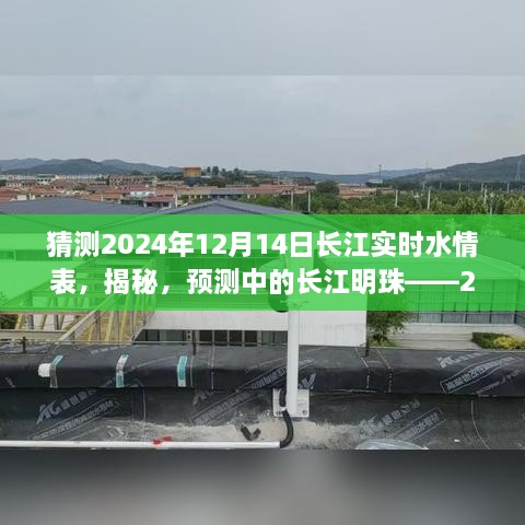 揭秘预测中的长江明珠，2024年长江水情实时动态解析与预测水情表展望