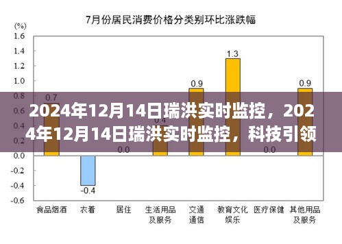 科技引领下的智能监控新纪元，瑞洪实时监控在行动（2024年12月14日）