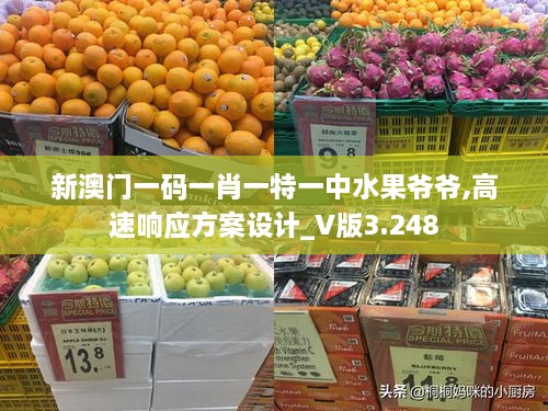 新澳门一码一肖一特一中水果爷爷,高速响应方案设计_V版3.248