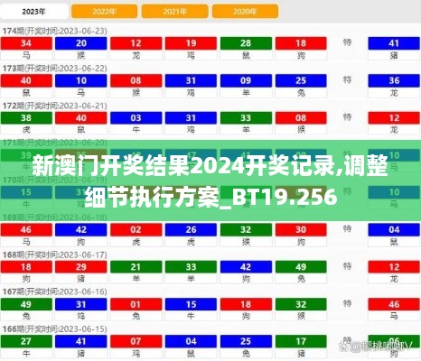新澳门开奖结果2024开奖记录,调整细节执行方案_BT19.256