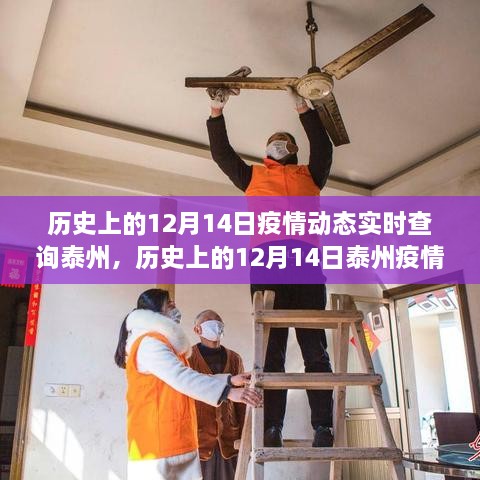 meikaiyanxiao 第6页
