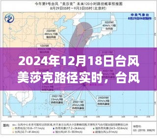 zundaoguide 第5页