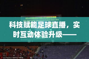 足球直播