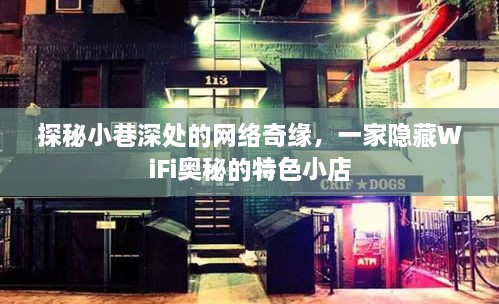 探秘小巷深处的网络奇缘，隐藏WiFi奥秘的特色小店之旅