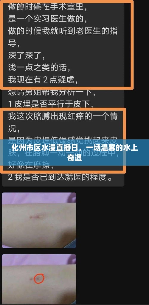 faguibixing 第4页