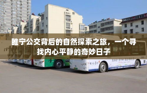 heshiyingxiong 第5页